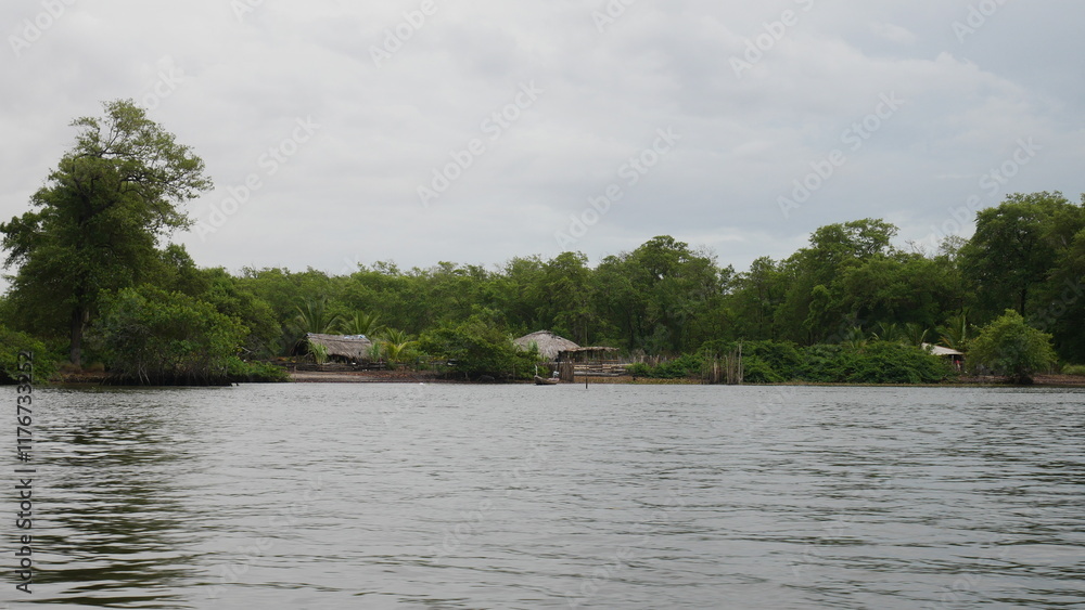 Amazonie, Forêt tropicale, Brésil, Biodiversité, Écosystème