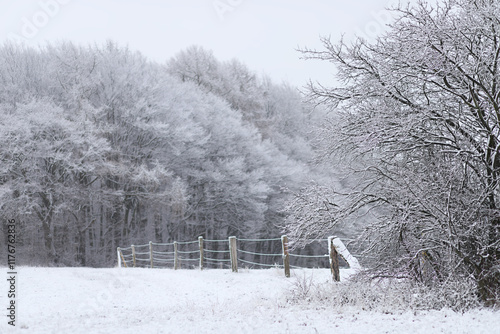 Snowy landscape. Winter wonderland at the edge of the forest and a fence with a horse paddock photo