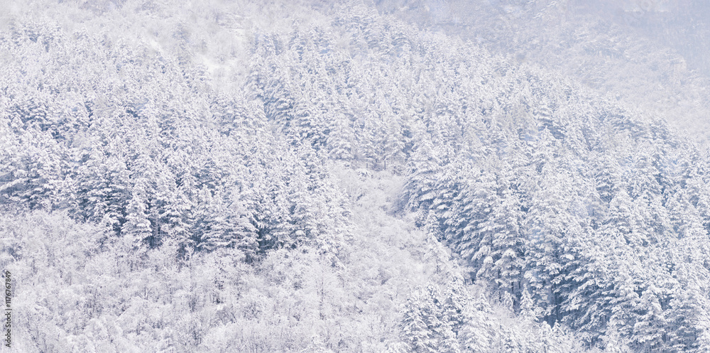 A stunning winter landscape featuring a dense forest of evergreen trees blanketed in fresh white snow. The serene and frosty scene conveys tranquility and natural beauty. A stunning winter landscape featuring a dense forest of evergreen trees blanketed in fresh white snow. The serene and frosty scene conveys tranquility and natural beauty.