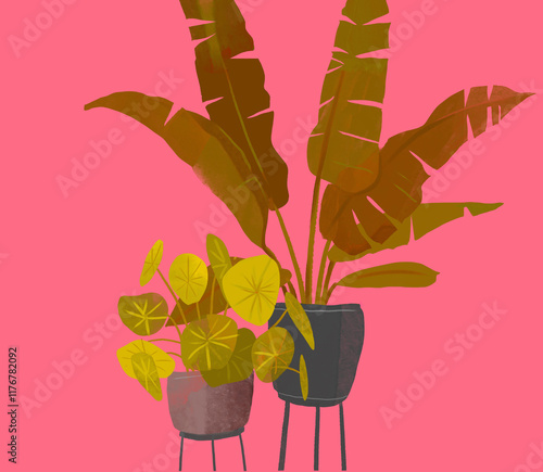 Illustration of various home plants in pots on a pink background