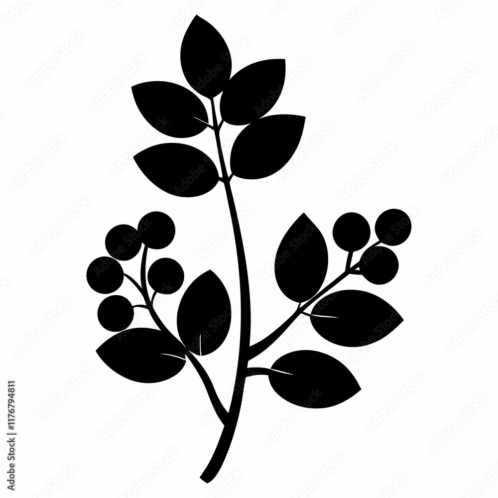 Minimalist Barberry Silhouette - Clean Vector Art Minimalist Barberry Silhouette - Clean Vector Art