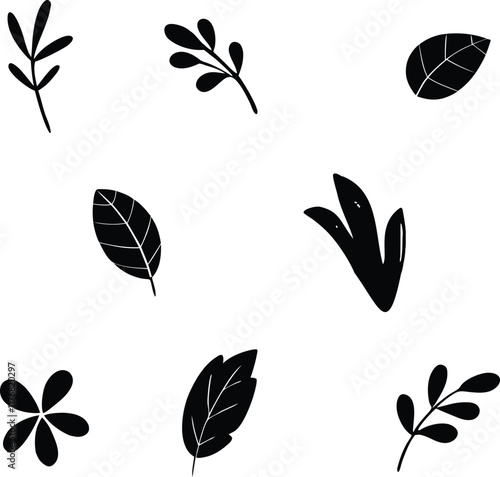 set of leaves photo