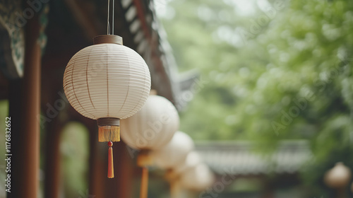 Tranquility in the Lantern ...