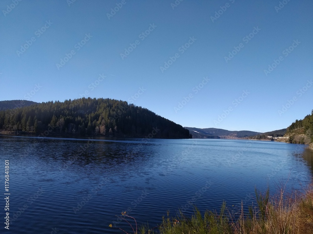 Fototapeta premium Titisee