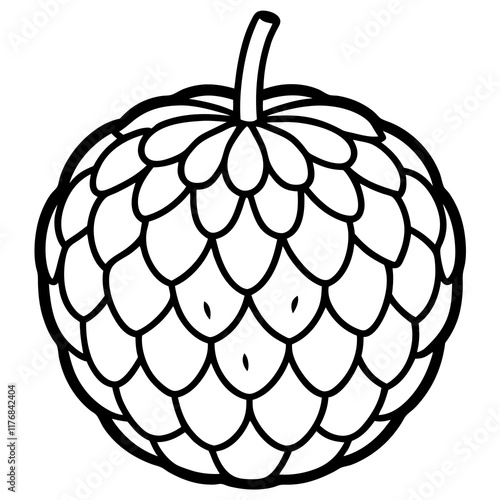 Elegant Custard Apple Vector Line Drawing