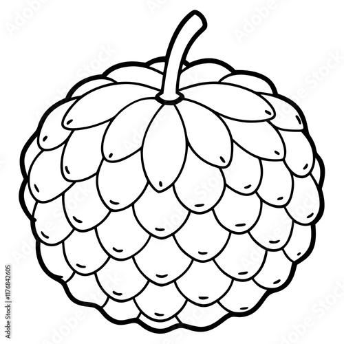 Elegant Custard Apple Vector Line Drawing