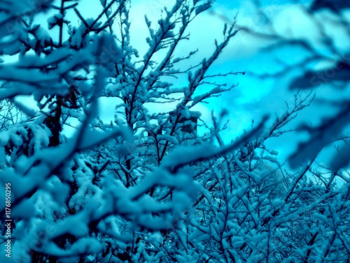 Taunus landscape in winter photo