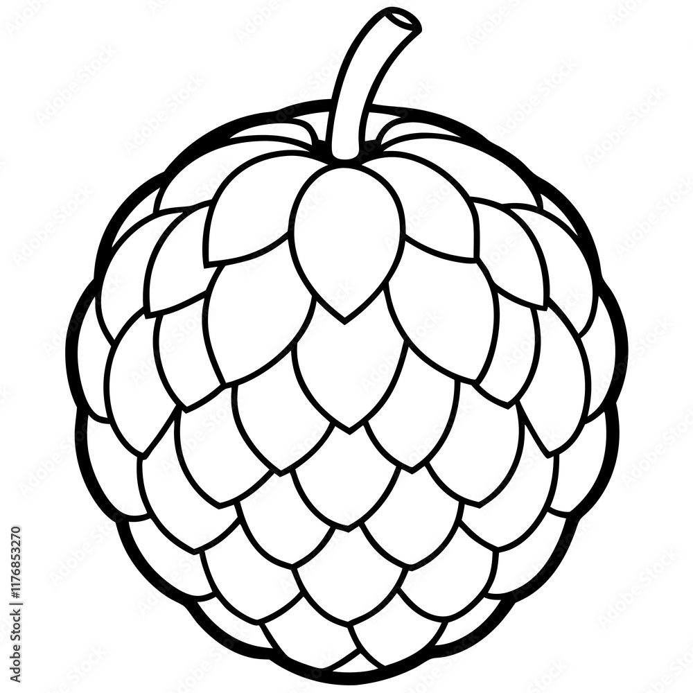 Elegant Sugar Apple Line Art Illustration Elegant Sugar Apple Line Art Illustration