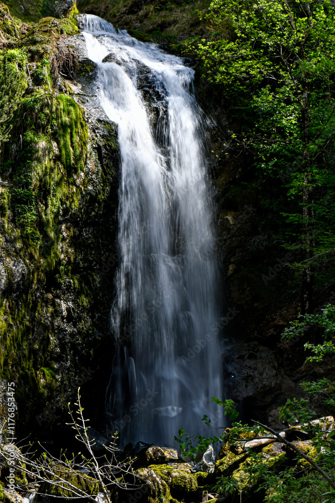 enjoy peace and quiet at the waterfall enjoy peace and quiet at the waterfall