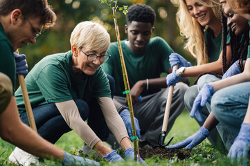 Group of volunteers planting trees in the park