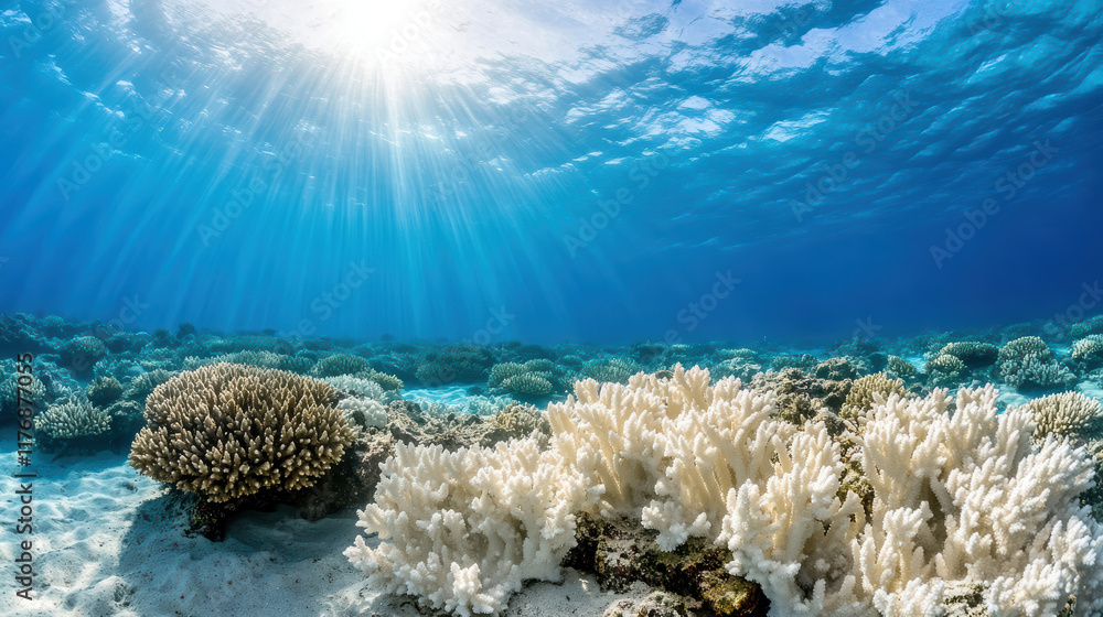 Fototapeta premium Beneath waves, vibrant coral reefs thrive in clear blue waters