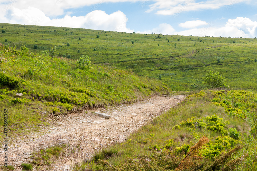 country road through grassy hills. morning peaceful on high altitude. scenery in dappled light. scenery of smooth mountain in summer. clouds on the sky. narrow path to success
