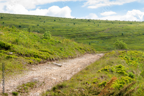 Obraz na płótnie country road through grassy hills. morning peaceful on high altitude. scenery in dappled light. scenery of smooth mountain in summer. clouds on the sky. narrow path to success w salonie