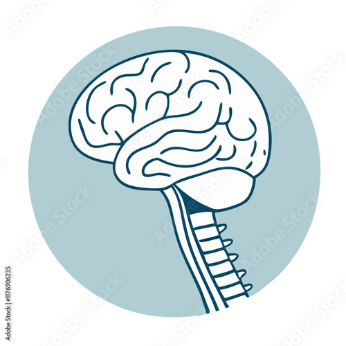 human brain illustration