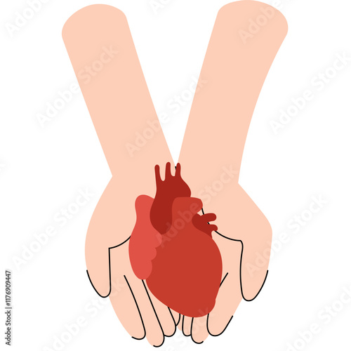 Two hands holding a human heart, symbolizing care and life-saving generosity. National Organ Donor day.