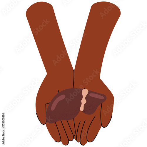 Two dark skin hands holding a human liver, symbolizing care and life-saving generosity. National Organ Donor day.