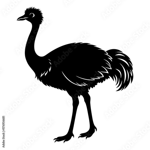 Emu Silhouette vector illustration photo