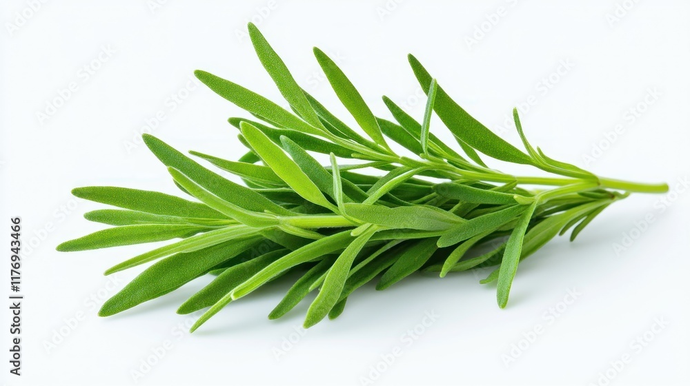 Fresh green tarragon herb on a light background. Fresh green tarragon herb on a light background.