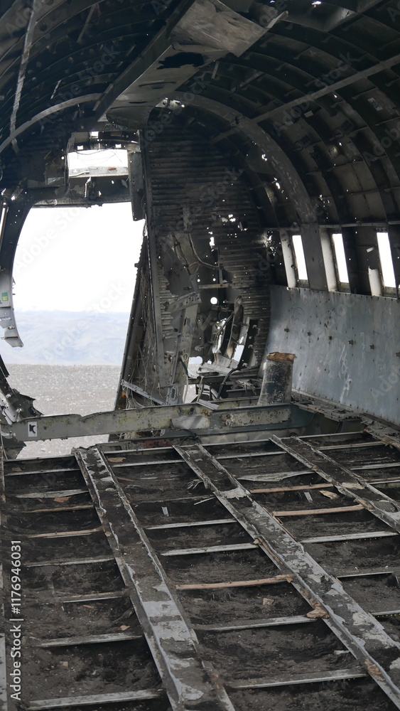 l‘épave d’avion DC3 écrasé sur la côte sud de l'Islande, plage de sable noir
l‘épave d’avion DC3 écrasé sur la côte sud de l'Islande, plage de sable noir
