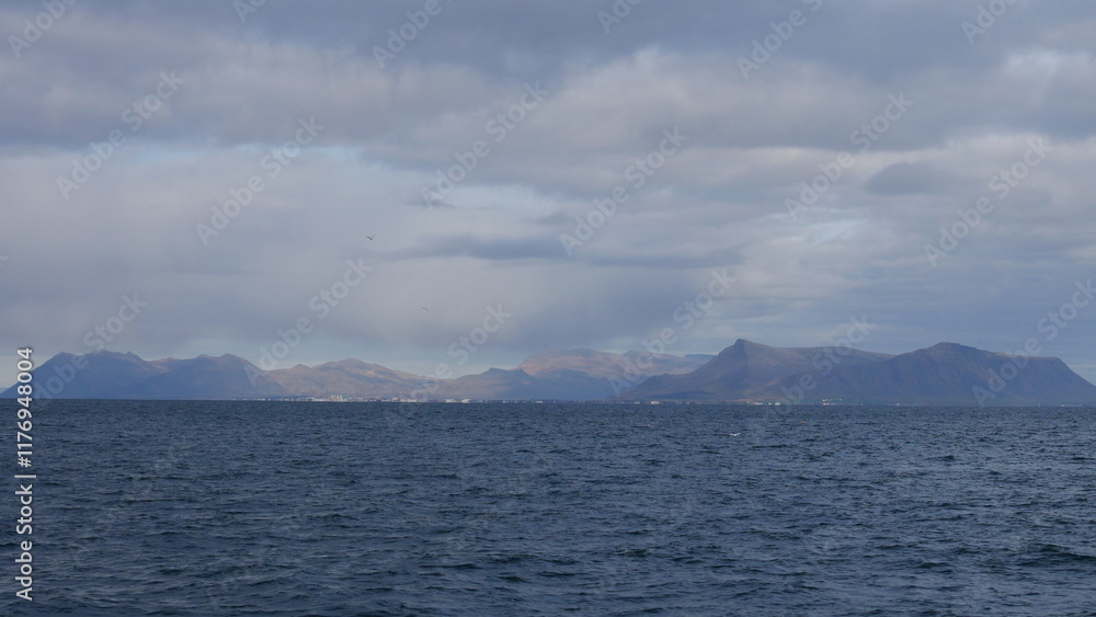excursion, baleine, dauphin, observation, cétacés, mammifères marins, croisière, sortie en mer, tourisme, aventure, nature, faune marine, bateau, guide, expérience, photographie, éco-tourisme, océan, excursion, baleine, dauphin, observation, cétacés, mammifères marins, croisière, sortie en mer, tourisme, aventure, nature, faune marine, bateau, guide, expérience, photographie, éco-tourisme, océan,