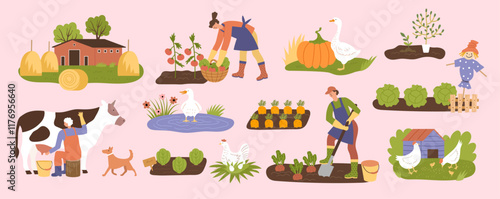 Farm. Village lifestyle rural area with scarecrow garden houses recent vector flat pictures of farm