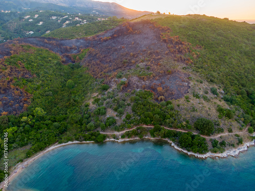 Burned slopes, hills, talus on  erimitis ,Corfu Island ,Greece. The new born life after fire, blaze. Ionian Islands, Greece. Site of the fire. photo