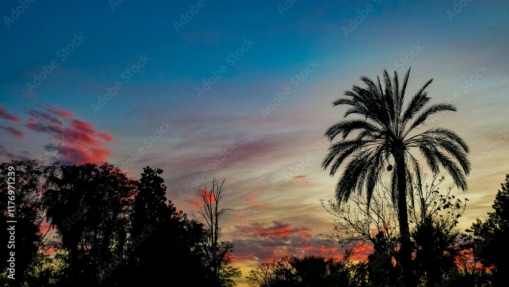 Marrakech, Maroc, Médina, Souks, Place Jemaa el-Fna, Koutoubia, Palais Bahia, Riad, Jardin Majorelle, Culture, Tradition, Artisanat, Architecture, Épices, Histoire, Atmosphère orientale, Couleurs, Lum Marrakech, Maroc, Médina, Souks, Place Jemaa el-Fna, Koutoubia, Palais Bahia, Riad, Jardin Majorelle, Culture, Tradition, Artisanat, Architecture, Épices, Histoire, Atmosphère orientale, Couleurs, Lum