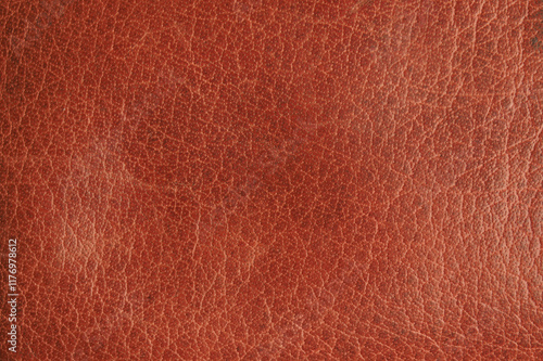 Canvas Print Texture of a fine brown leather surface using as background or header