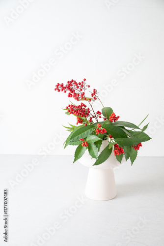 Nandina and Senryo.
A lucky plant that is decorated for New Year’s in Asia.
 photo