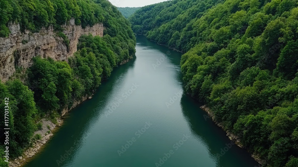 Exploring serene river landscapes nature retreat aerial view lush green environment tranquil escape Exploring serene river landscapes nature retreat aerial view lush green environment tranquil escape