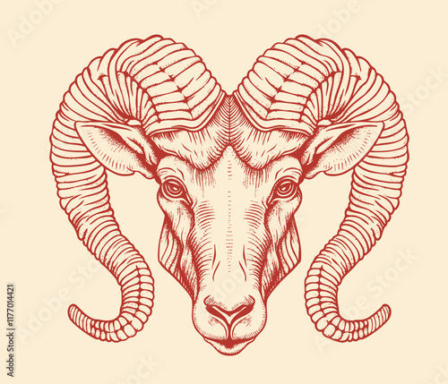 Modern magic witchcraft card with astrology Aries zodiac sign. Realistic hand drawing ram or mouflon head
