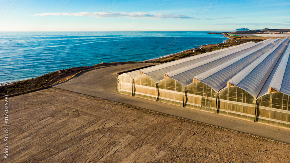 Obraz premium Aerial view. Commercial greenhouses on coast, Spain.