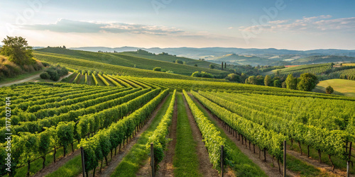 Wallpaper Mural Breathtaking Vineyard with Rows of Green Vines and a Beautiful Landscape Capturing Nature's Bounty Torontodigital.ca