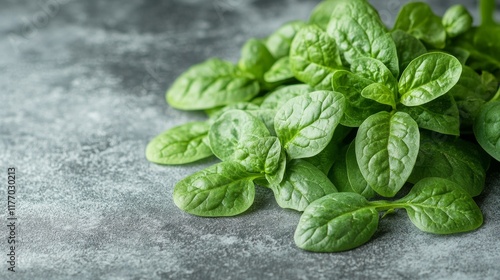 Fresh spinach leaves arranged neatly on a dark surface for culinary use