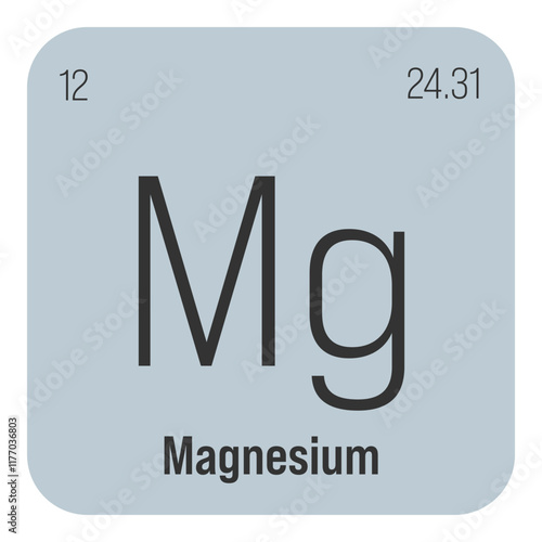 Magnesium, Mg, periodic table element with name, symbol, atomic number and weight. Alkaline earth metal with various industrial uses, such as in alloys, construction, and as a component in certain