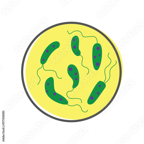 vibrio cholera becteria infection disease concept