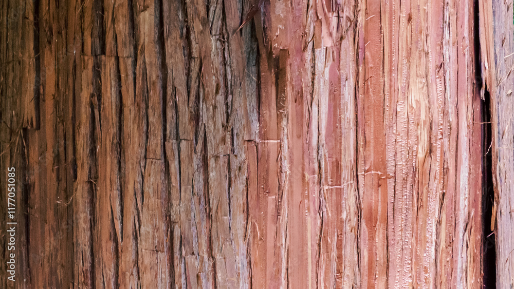 natural tree trunk texture pattern close up natural tree trunk texture pattern close up