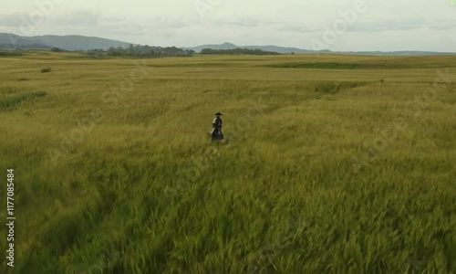 Wallpaper Mural A bird’s-eye view of a samurai walking through a field of tall grass, their silhouette visible against the textured greenery. The camera follows their path, creating a sense of journey and purpose Torontodigital.ca