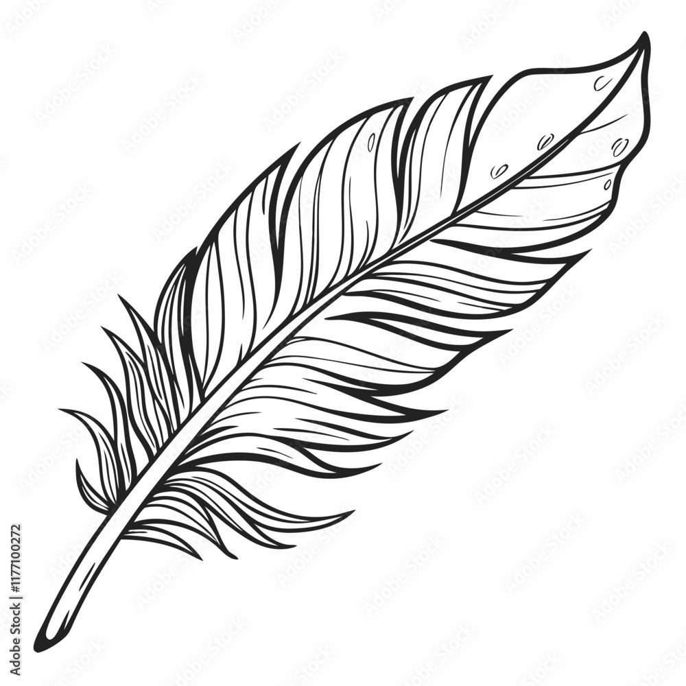 feather isolated on white background feather isolated on white background