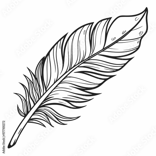 feather isolated on white background