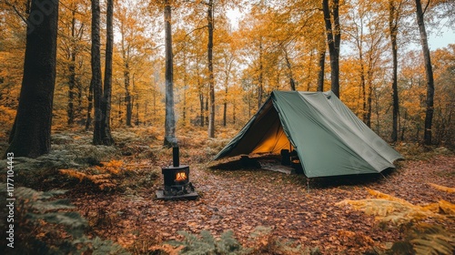 Cozy camping setup under tall trees with glowing campfire in the forest durin...