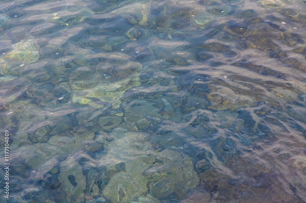 Clear blue water reveals hidden treasures beneath the surface at a tranquil coastal location Clear blue water reveals hidden treasures beneath the surface at a tranquil coastal location