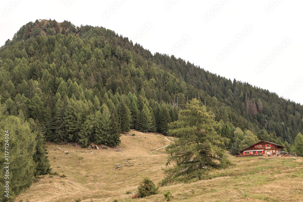 Wanderziel im Val Masino; Rifugio Alpe Granda mit Pizzo Mercantelli (2070)