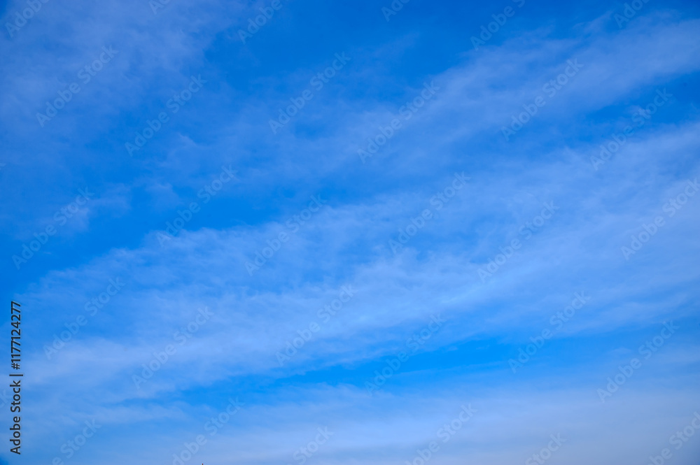 Fototapeta premium vivid blue sky with white clouds for background wallpaper
