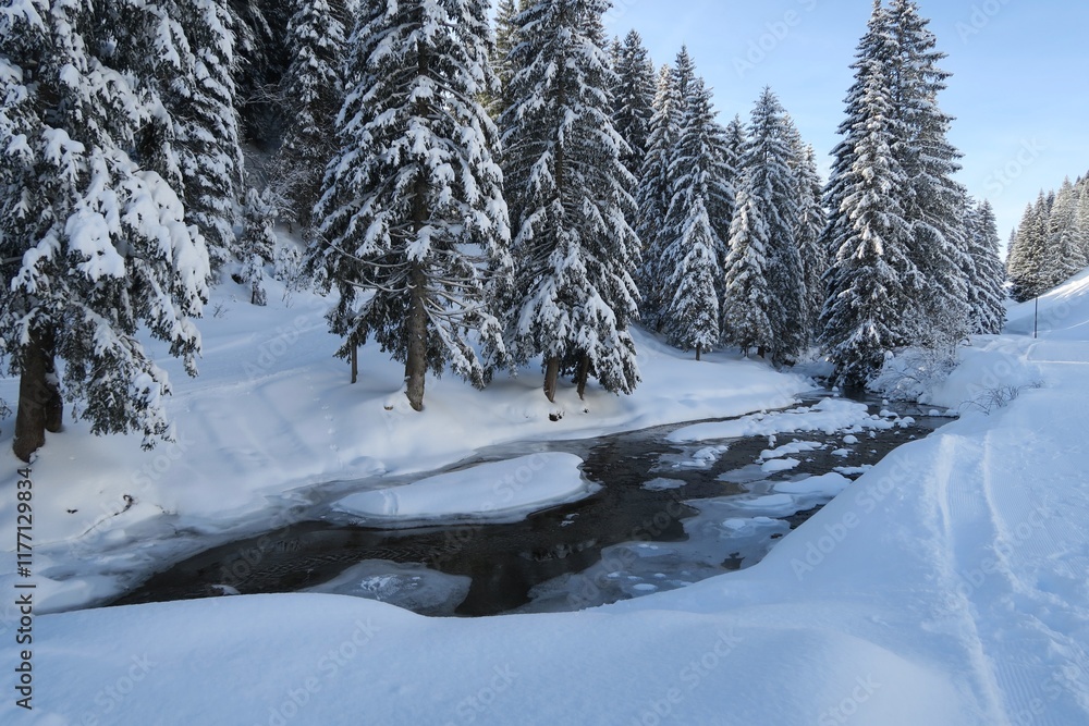 Oben auf dem Kojen-Schichtkamm in den Allgäuer Voralpen fließt der Lanzenbach. Er ist an diesem sonnigen Wintertag teilweise gefroren. Im Hintergrund sind verschneite Nadelbäume zu sehen. Oben auf dem Kojen-Schichtkamm in den Allgäuer Voralpen fließt der Lanzenbach. Er ist an diesem sonnigen Wintertag teilweise gefroren. Im Hintergrund sind verschneite Nadelbäume zu sehen.
