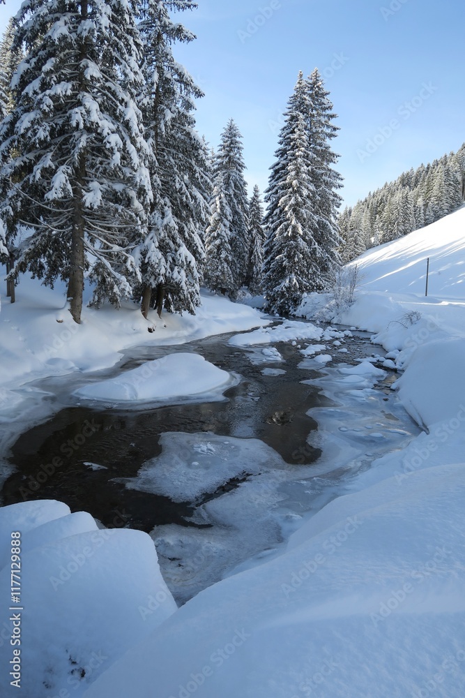 Oben auf dem Kojen-Schichtkamm der Allgäuer Nagelfluh-Schichtkämme fließt der Lanzenbach. Er ist an diesem sonnigen Wintertag teilweise gefroren. Im Hintergrund sind verschneite Nadelbäume zu sehen. Oben auf dem Kojen-Schichtkamm der Allgäuer Nagelfluh-Schichtkämme fließt der Lanzenbach. Er ist an diesem sonnigen Wintertag teilweise gefroren. Im Hintergrund sind verschneite Nadelbäume zu sehen.