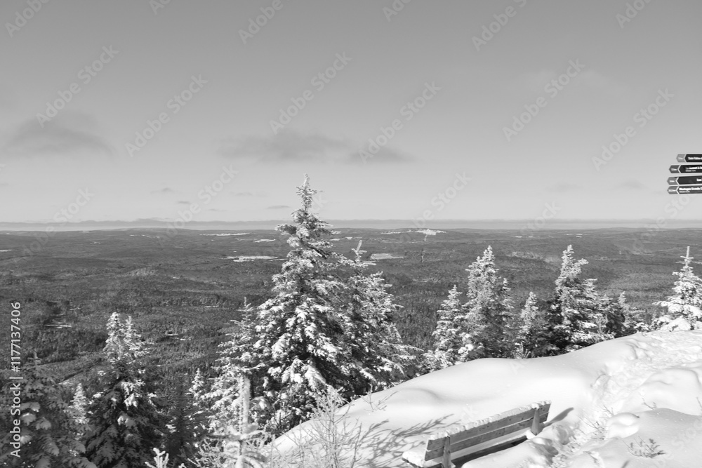 Parc Appalaches 24 Décembre Au 2 Janvier 2025 N&B Parc Appalaches 24 Décembre Au 2 Janvier 2025 N&B