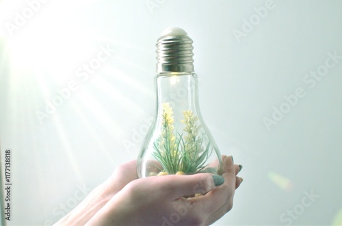 electric bulb with plant inside, ecological concept