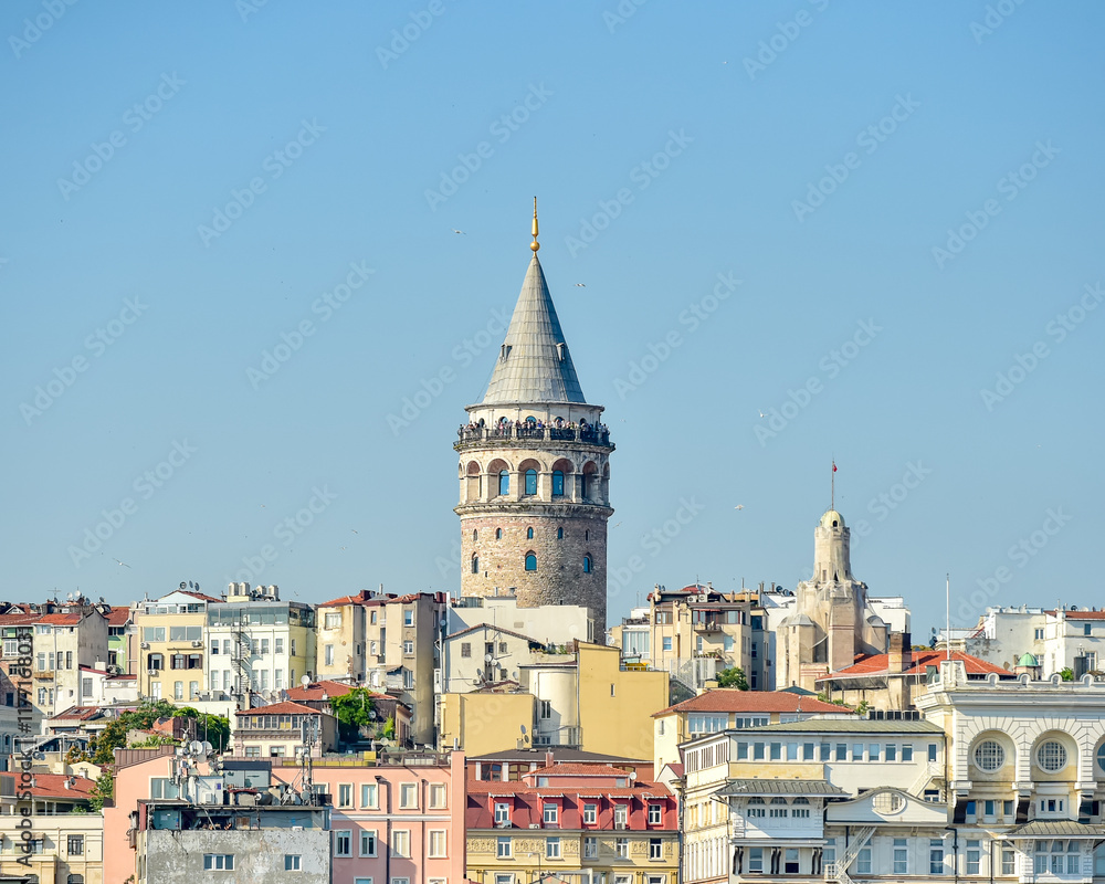 Fototapeta premium view of galata tower from estuary