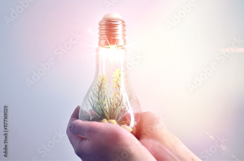 hand holding a bulb with plant inside